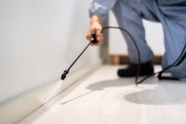 Licensed Pest Control service in Plymouth, WI - Show Me Pest Control